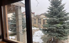 Bogdan Home